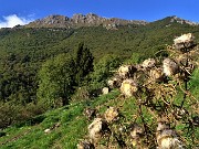 In RESEGONE, Punta Cermenati 1875 m, da Fuipiano-27sett22- FOTOGALLERY